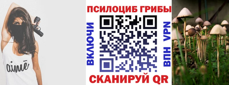 Галлюциногенные грибы прущие грибы  Аткарск 
